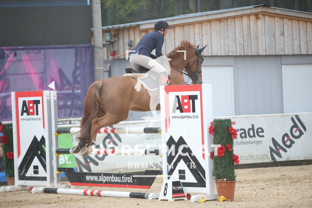 PP012678 | Willkommen bei Brunnmayr - Design & Fotografie – Ihrem Spezialisten für Reitturniere und Pferdeveranstaltungen in Oberösterreich, Salzburg und Bayern! Seit über 17 Jahren sind wir leidenschaftlich dabei.