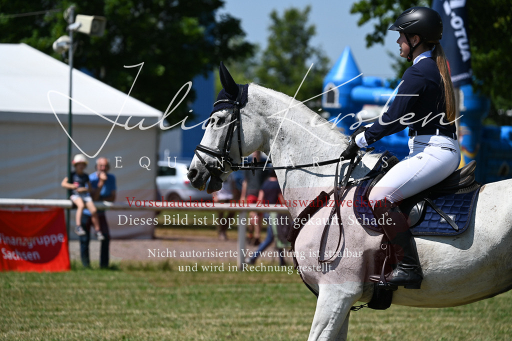 DSC_0562 | Pferde- und Turnierfotografie in Westsachsen. Pferdeportraits, Auftragszeichnungen und intuitive Kunst.