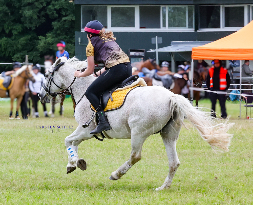 1B3A0917 | Reitsport Reiten