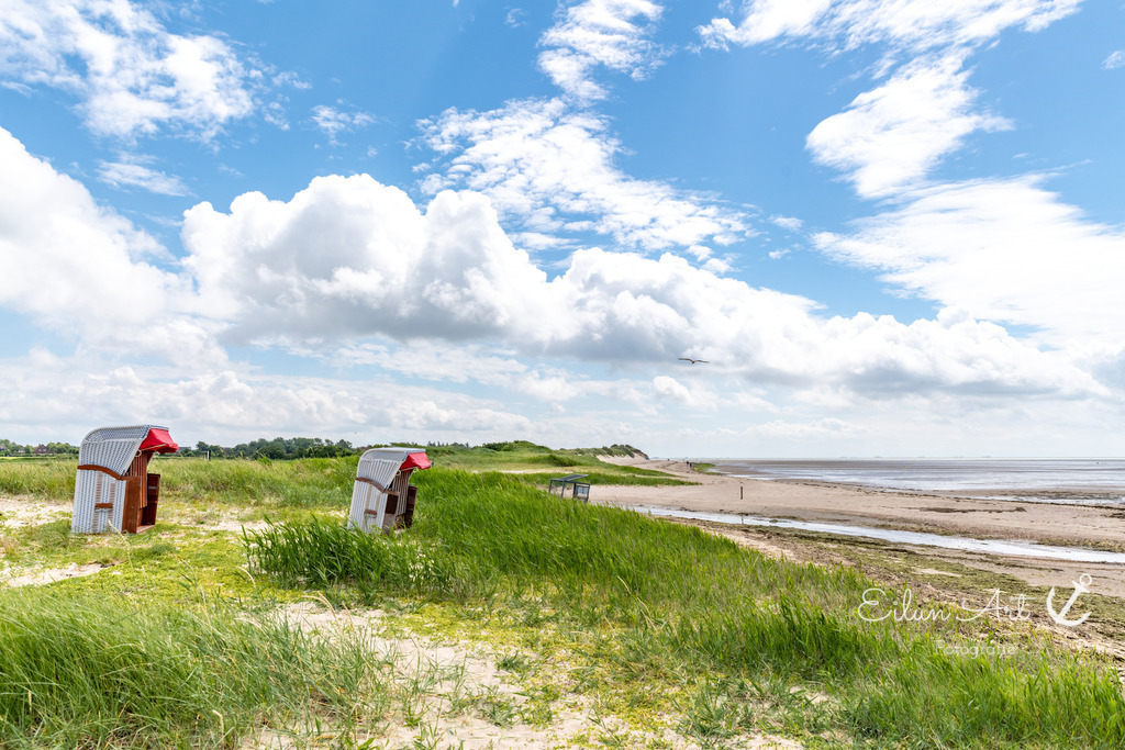 20240616-EAF_2099 | Eilun-Art-Fotografie Levke Martens, ihre Fotografin für Immobilien- und Landschaftsfotografie auf Föhr, Föhrer Motive als Poster, Leinwand, hinter Acrylglas oder stelle dir deinen eigenen Monatskalender zusammen, mit nur einem Klick