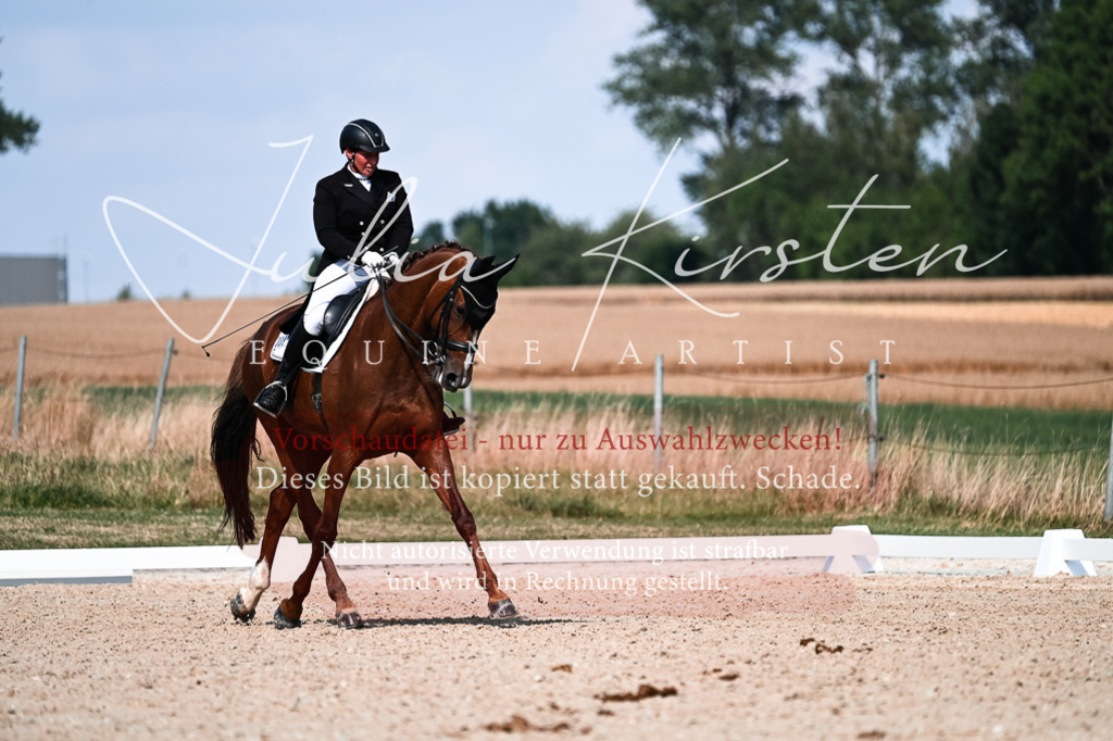 DSC_3239 | Pferde- und Turnierfotografie in Westsachsen. Pferdeportraits, Auftragszeichnungen und intuitive Kunst.
