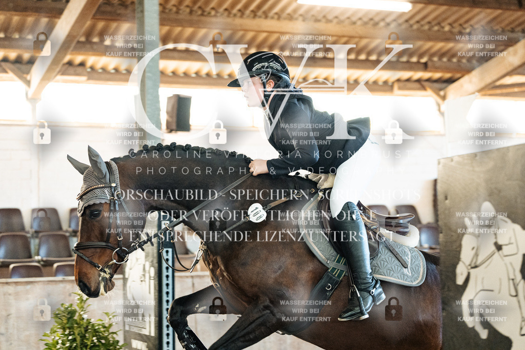 CK904012 | Turnierfotografie Pferdefotografie Trier Rheinland-Pfalz Pferdesport Reitsport Tierfotografie Sportfotografie Pferdevideo Pferdevideografie Equestrianvideography equestrianphotography  - Realized with Pictrs.com