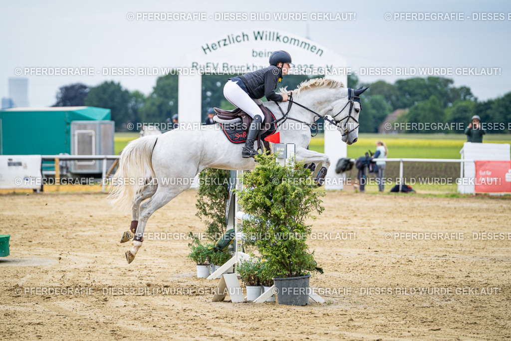 DSC05166 | Pferdegrafie