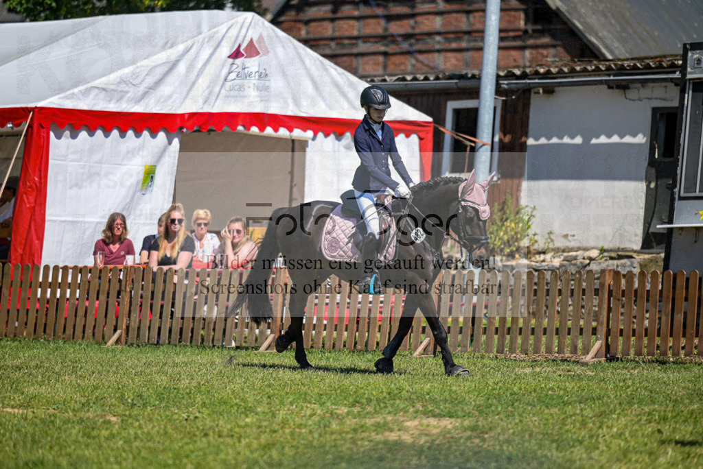 Reitturnier Voxtrup | Entdecke hochwertige Reitturnierfotos von Foto Oger. Professionell, emotional und authentisch – jetzt Lieblingsmomente im Shop bestellen.Deutschlandweite Turnierfotografie. - Realized with Pictrs.com