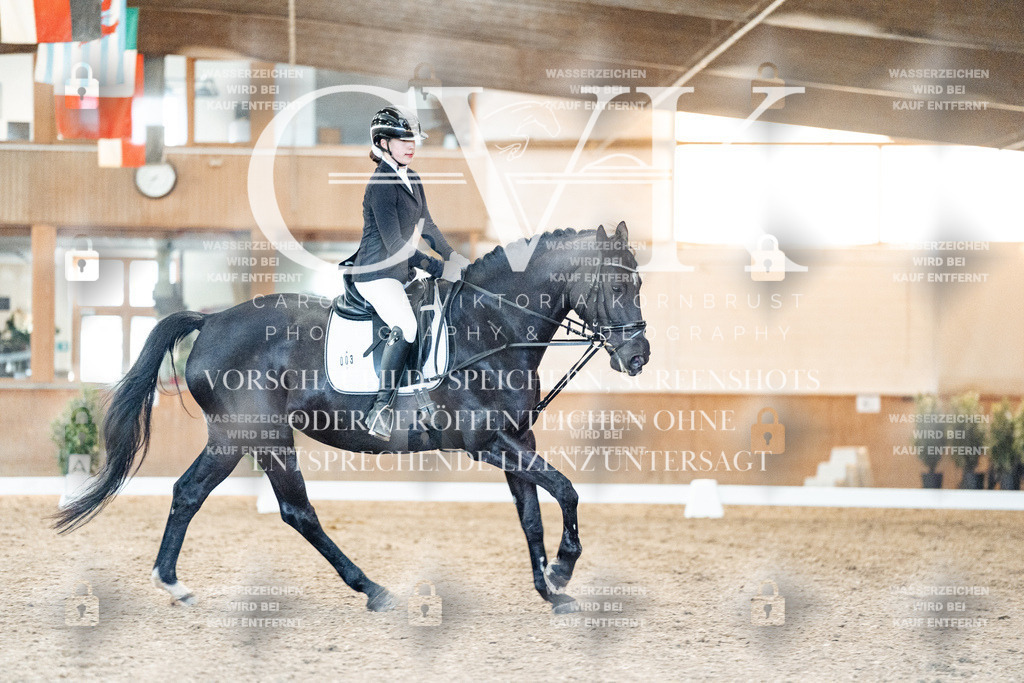 CK906975 | Turnierfotografie Pferdefotografie Trier Rheinland-Pfalz Pferdesport Reitsport Tierfotografie Sportfotografie Pferdevideo Pferdevideografie Equestrianvideography equestrianphotography  - Realisiert mit Pictrs.com