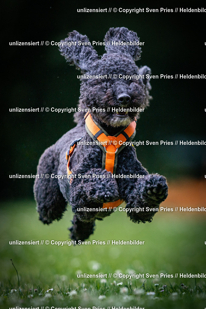 Sven Pries | 2025-05-29 - Pudelrennen KA-Durlach - Realisiert mit Pictrs.com