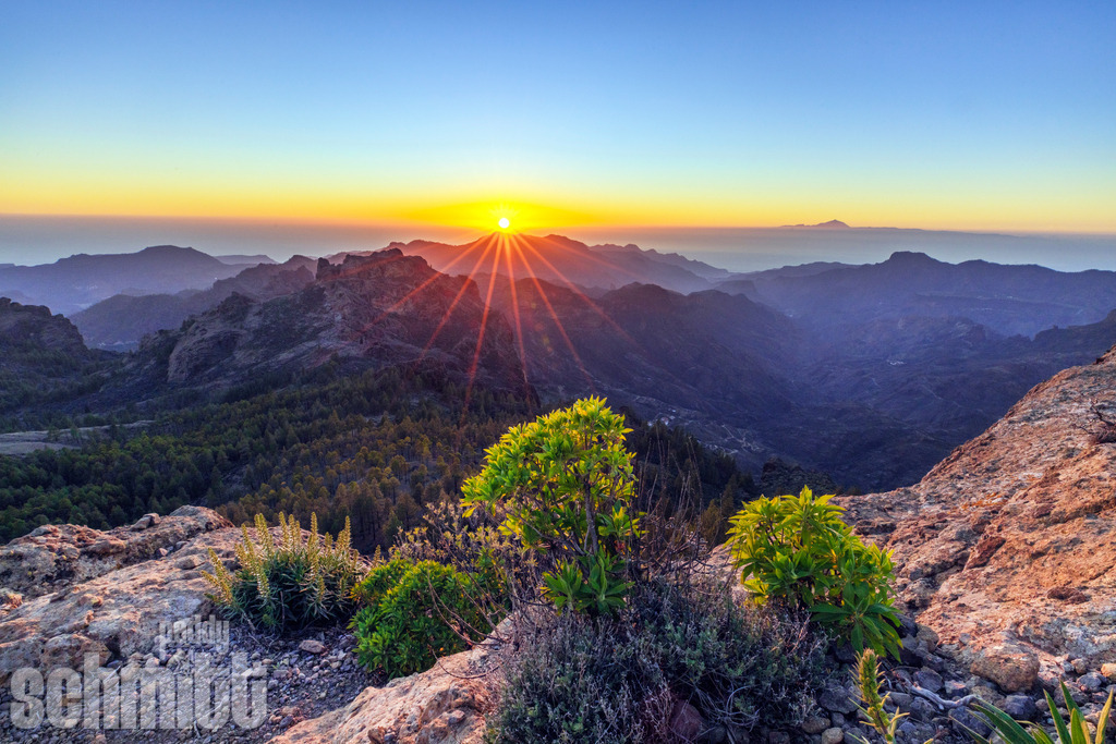 PS-Gran-Canaria-2026-47 | Entdecke die größte Bildgalerie der Region mit Fotografien aus dem Allgäu, der Bodenseeregion, Oberschwaben, dem Donautal und der Schwäbischen Alb. Landschaften, Luftaufnahmen und Reisefotografie als Wandbild und Fotokunst. - Realisiert mit Pictrs.com