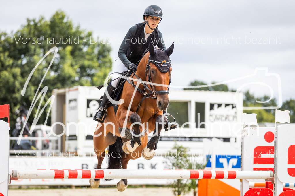 BHO-2PhSpr-M-5-2260 | MomenTaufnahmen Pferdesportfotos