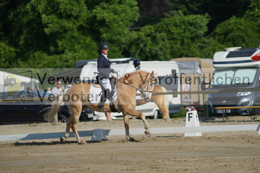 DSC04140 | equestrian-live-com