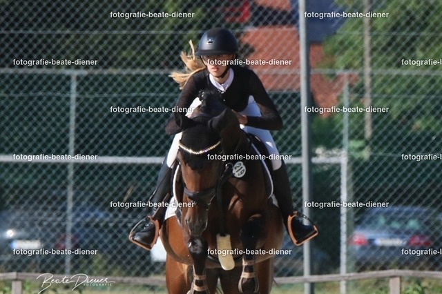 OHT 2022 Röhlingen (73) | Fotografie, Tiere, Hunde, Katzen, Pferde, Sportfotografie, Fotosession, Tierfotografie, Turnierfotografie, Fotografin, Fotograf - Realisiert mit Pictrs.com