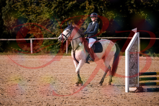 2026_10_03_Siefer-Hof_154415_Z81_62380304 | Professionelle Reitsport-, Turnier- und Eventfotografie von Robert Broda. Galerien mit ausgewählten und bearbeiteten Bildern direkt online ansehen und bestellen.