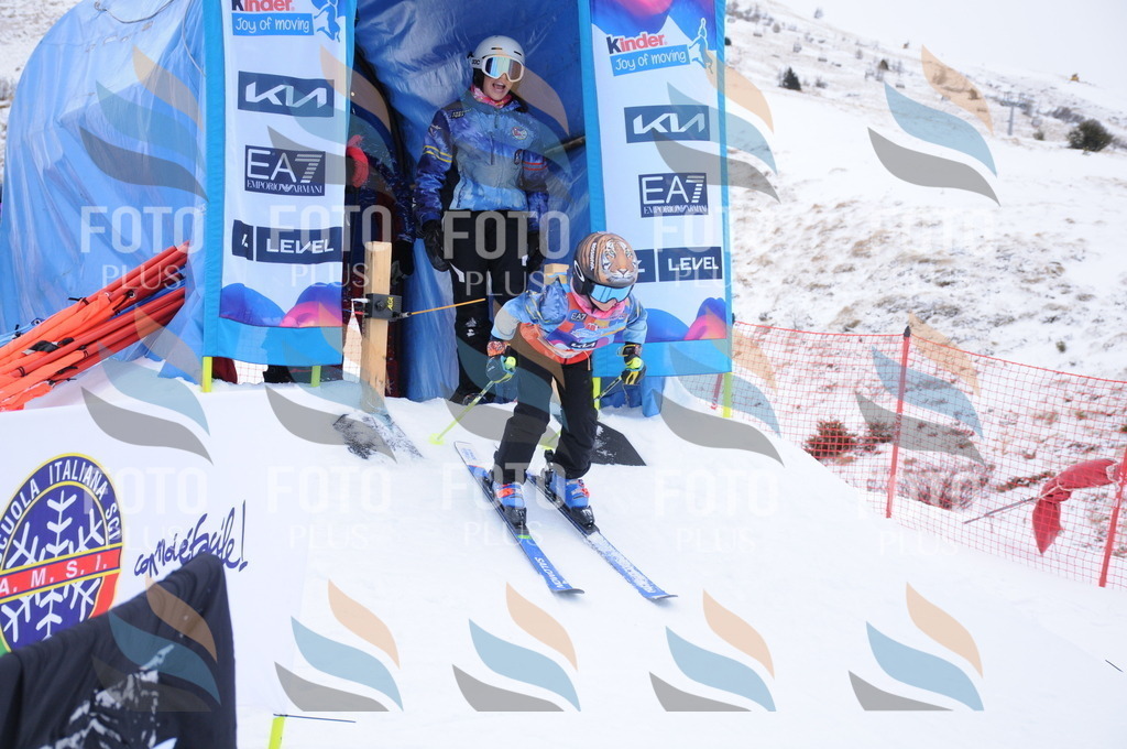 DSC_7901 | holidayphoto