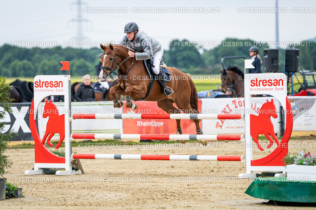 DSC05400 | Pferdegrafie