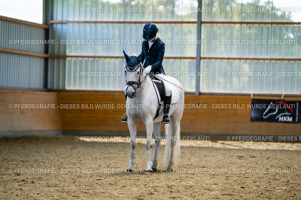 DSC05482 | Pferdegrafie