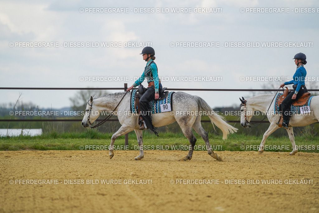 DSC06499 | Pferdegrafie