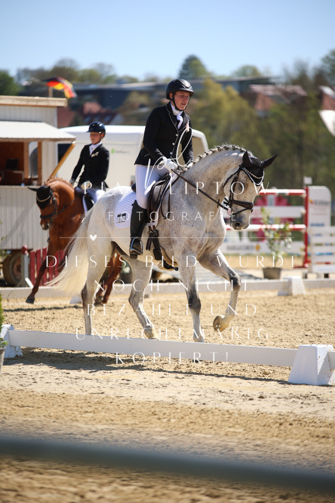 IMGT1077 | pl-fotografie