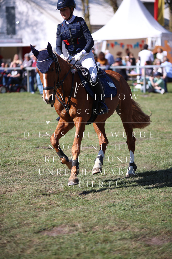 IMGT8965 | pl-fotografie