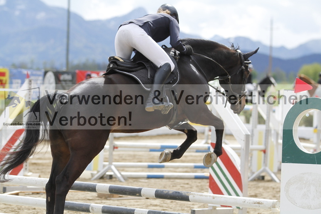 _MG_6593 | equestrian-live-com