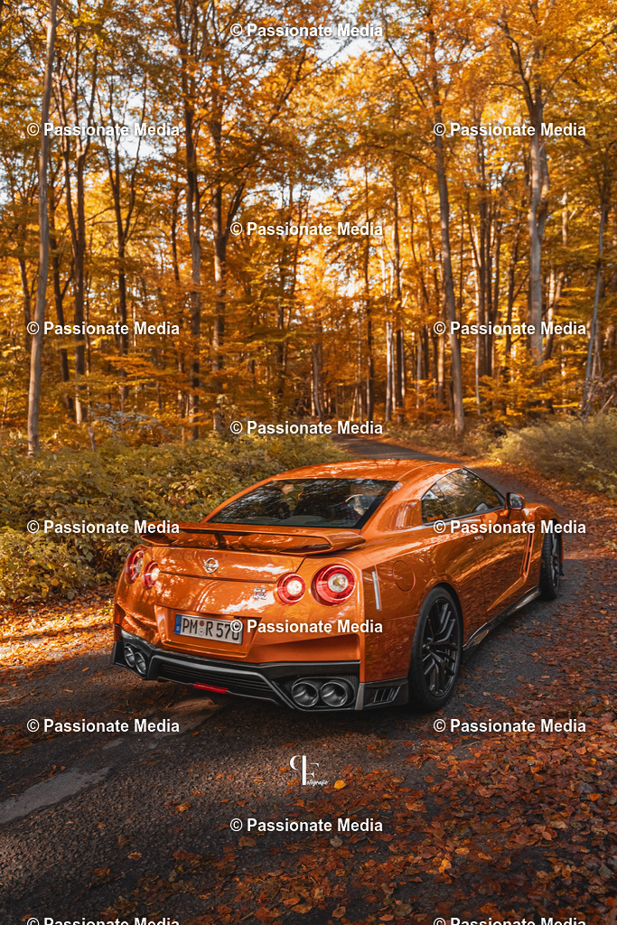 DSC06204 | Passionate Media, dein Fotograf aus Brandenburg, Märkisch Oderland, im Bereich Motorsport, Autos und Motorräder sowie Events und auch Hunde. Shootings oder auch Eventbegleitungen können bei mir gebucht we