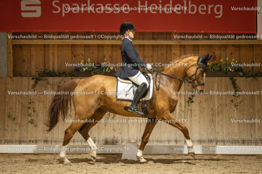 _D5A0342 | Emotionale Pferde- & People-Fotografie rund um Heidelberg, Leimen & Umgebung. Natürliche Fotos von Pferd, Mensch & Familie. Jetzt Termin sichern!