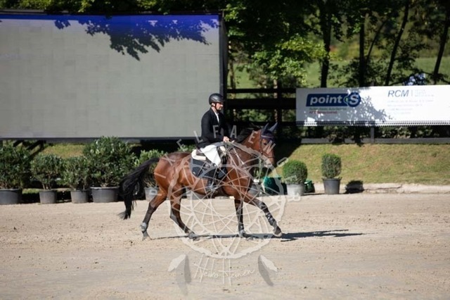 2B4A0606 | pixelfaenger - Realisiert mit Pictrs.com