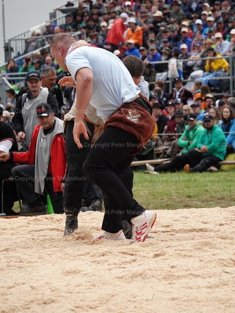 DSC05400 | Schwingen - Realisiert mit Pictrs.com