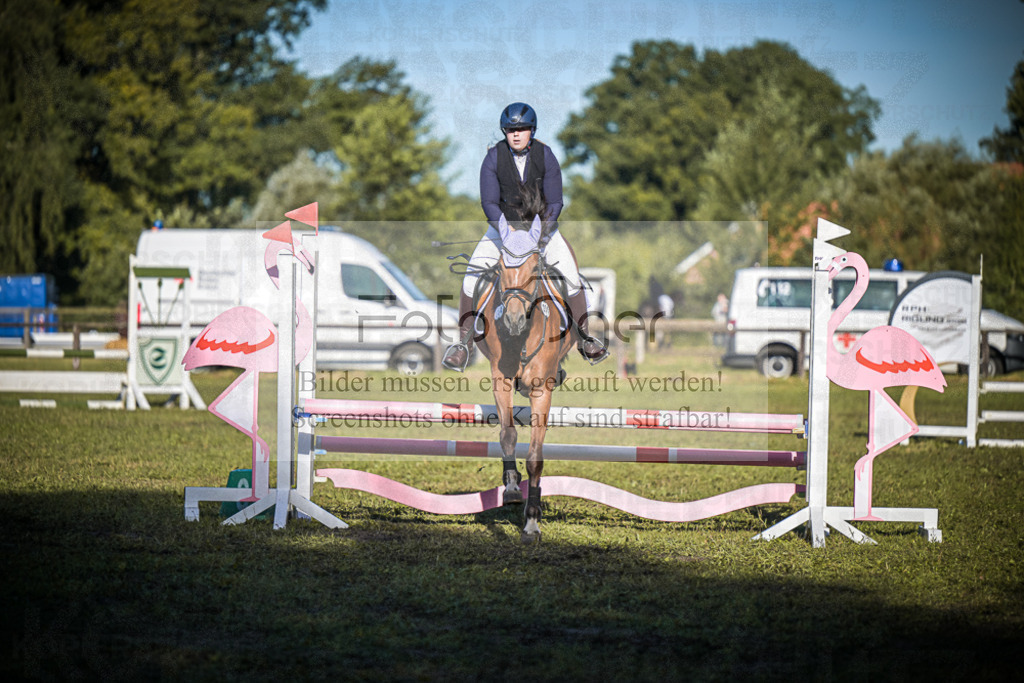DOS_0659 | Entdecke hochwertige Reitturnierfotos von Foto Oger. Professionell, emotional und authentisch – jetzt Lieblingsmomente im Shop bestellen.Deutschlandweite Turnierfotografie. - Realisiert mit Pictrs.com