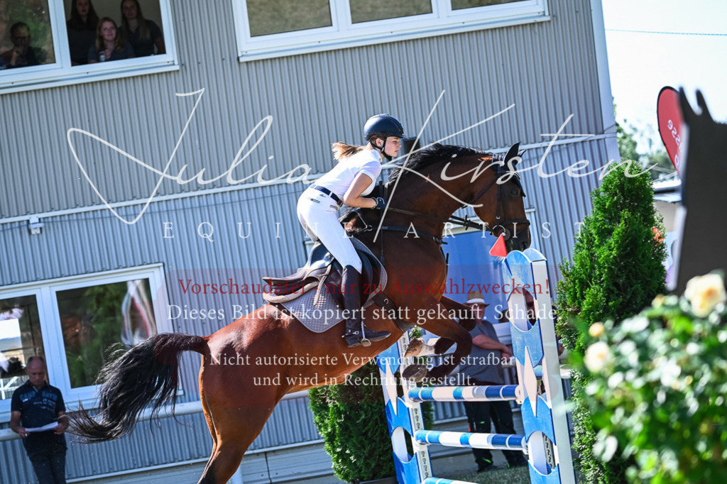 DSC_1726 | Pferde- und Turnierfotografie in Westsachsen. Pferdeportraits, Auftragszeichnungen und intuitive Kunst.