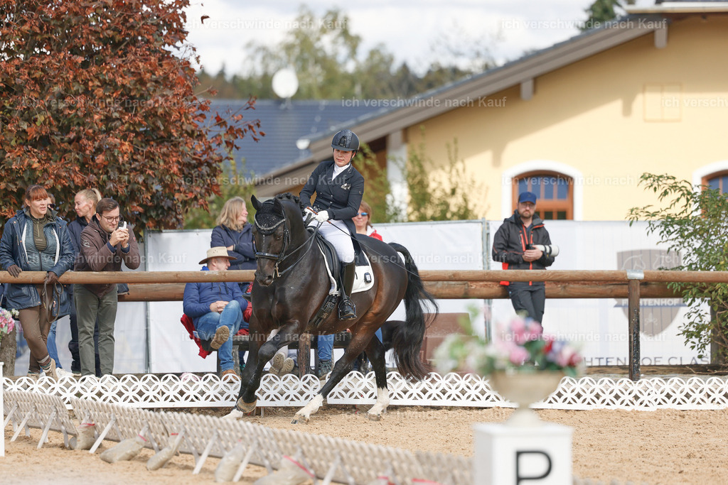 09_2-183-DRESSUR  S_  -StoibPH-5901 | working equitationturnier fotograf videograf stoibphotography marixx film working equitation deutschland reitsport turnierfotografie eventfotografie equestrian events