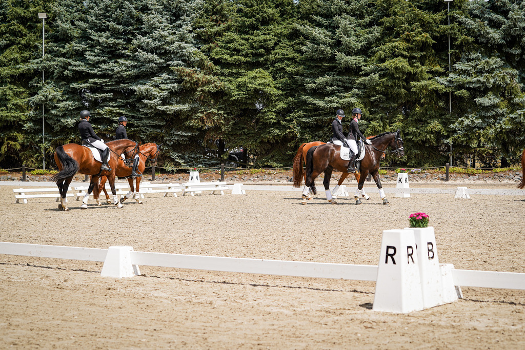 DSC01723 | Pferdegrafie