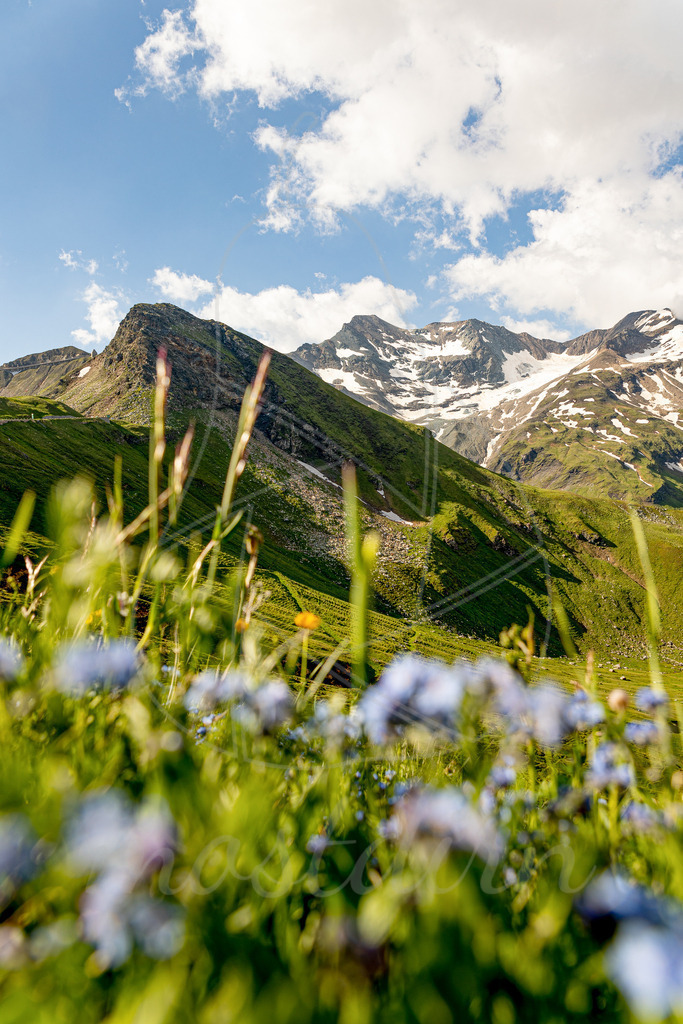 Großglockner Hochalpenstrasse | Ihre Fotografin im Lungau, ihre Fotografin im Mostviertel, Wandbilder Onlineshop, Imagefotos für Ihr Unternehmen,  - Realisiert mit Pictrs.com