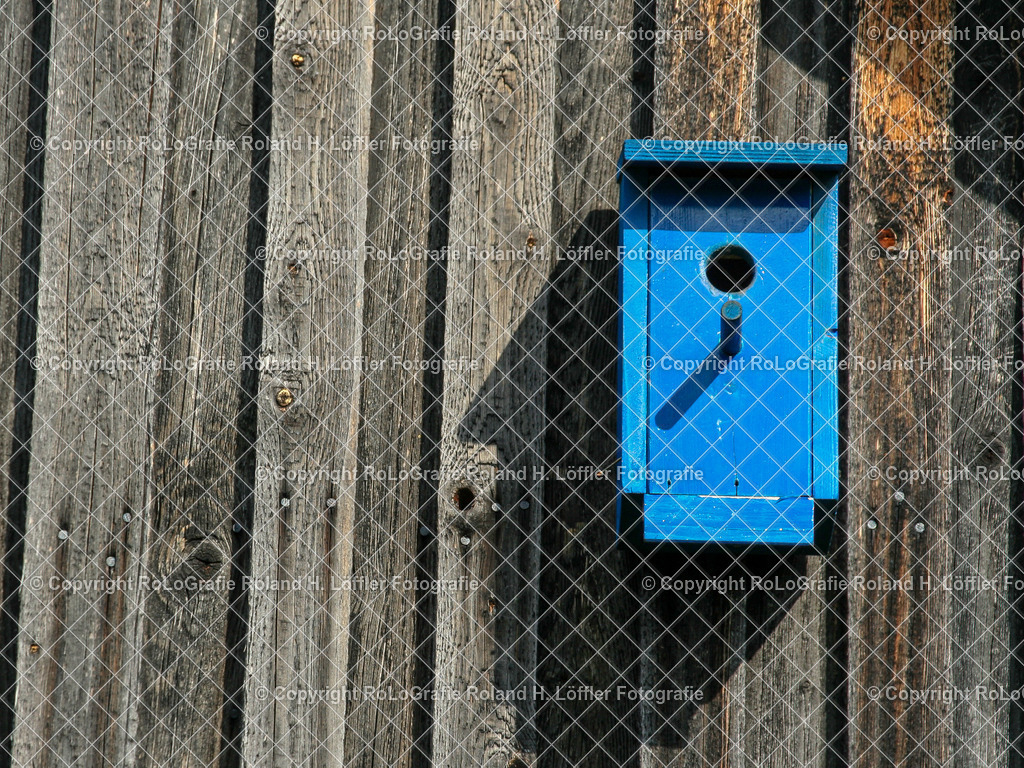 IMG_7512 | Blaues Vogelhaus, Nistkasten an Holzwand - Realisiert mit Pictrs.com