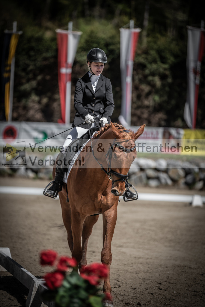 DSC_0001 | equestrian-live-com