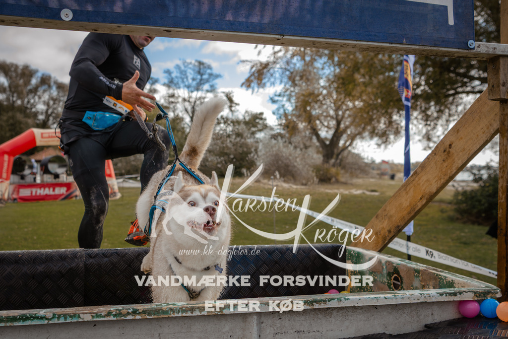 1341_ZZ91810-2 | kk-dogfotos