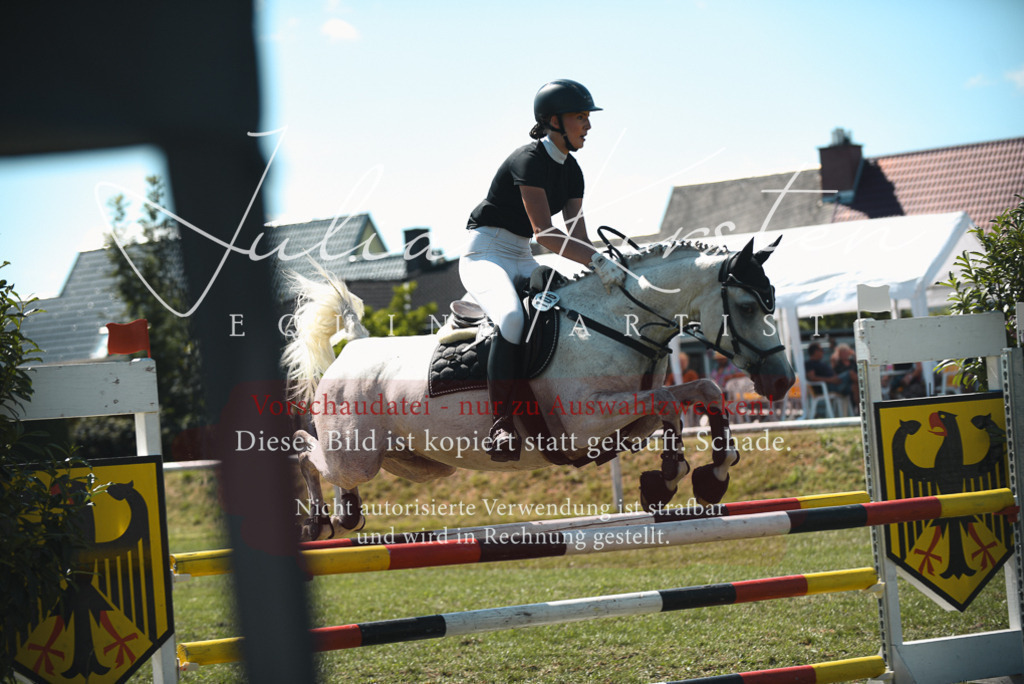 DSC_6894 | Pferde- und Turnierfotografie in Westsachsen. Pferdeportraits, Auftragszeichnungen und intuitive Kunst.