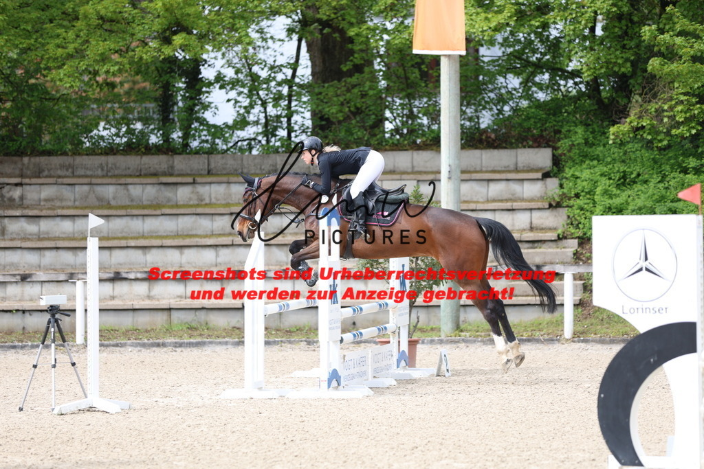 A40A1281 | lmwpictures - Realisiert mit Pictrs.com