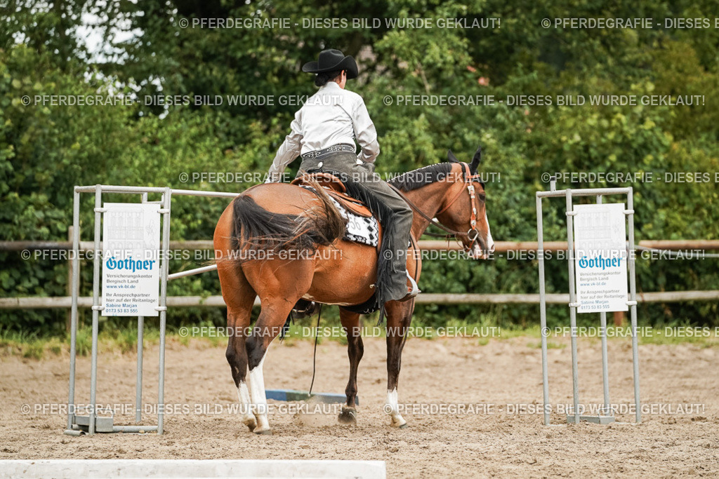 DSC08548 | Pferdegrafie