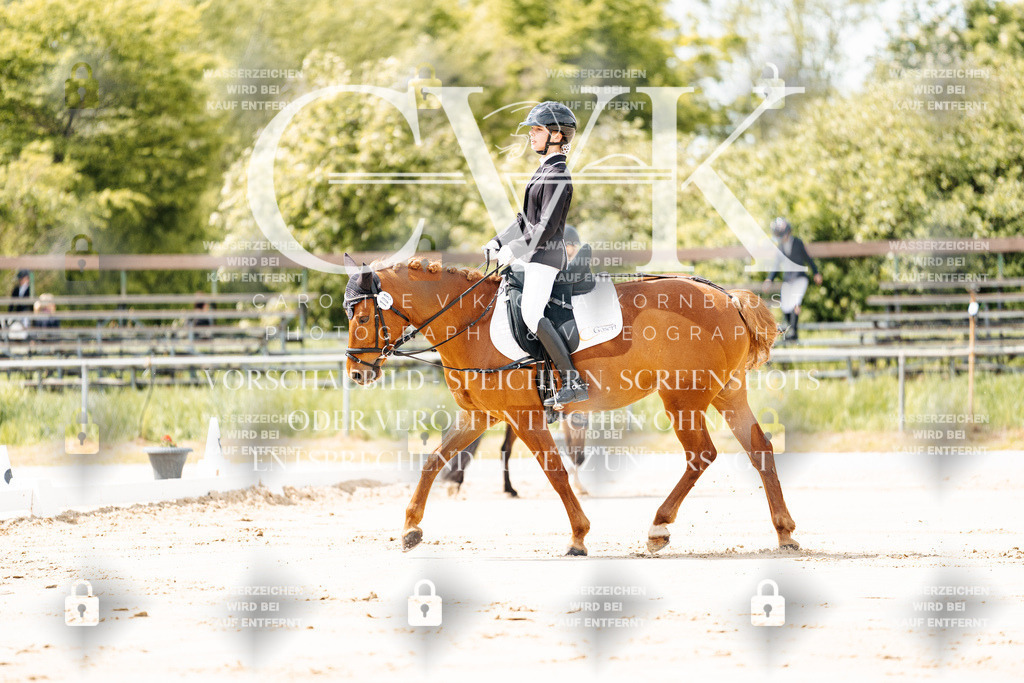 CK901667 | Turnierfotografie Pferdefotografie Trier Rheinland-Pfalz Pferdesport Reitsport Tierfotografie Sportfotografie Pferdevideo Pferdevideografie Equestrianvideography equestrianphotography  - Realisiert mit Pictrs.com