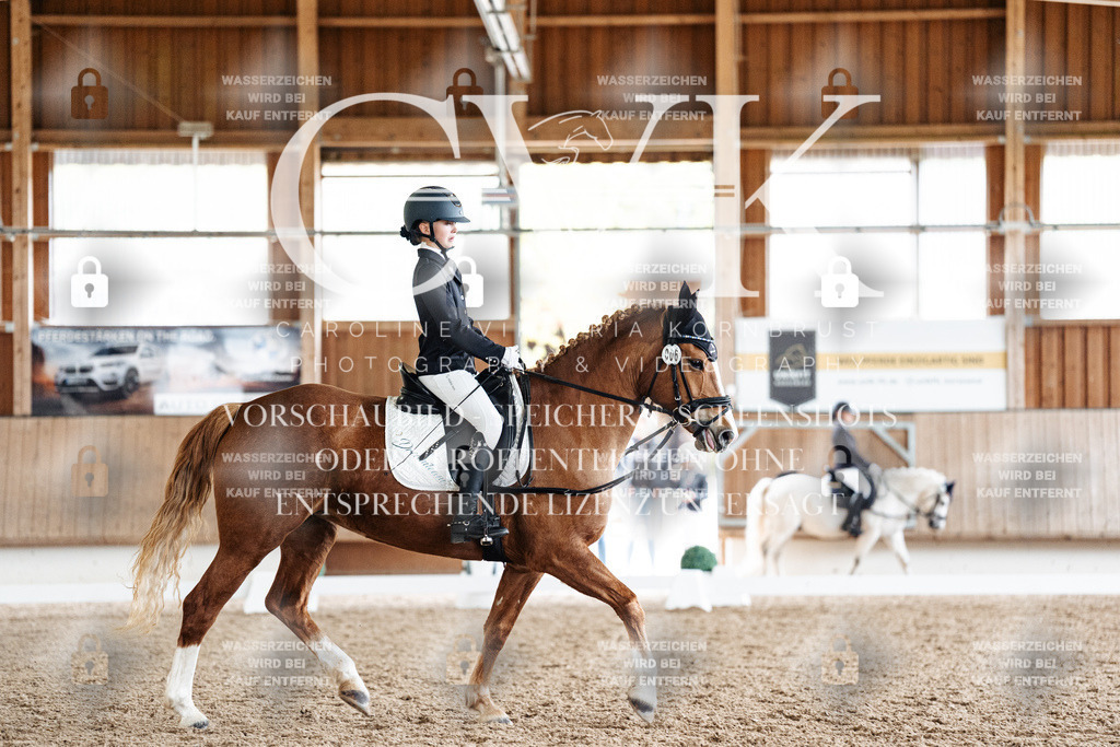 CK900855 | Turnierfotografie Pferdefotografie Trier Rheinland-Pfalz Pferdesport Reitsport Tierfotografie Sportfotografie Pferdevideo Pferdevideografie Equestrianvideography equestrianphotography  - Realisiert mit Pictrs.com