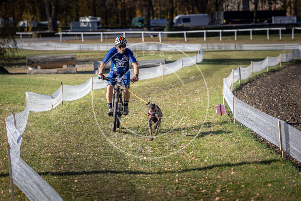 CaniXpix_DV3A5505 | Hundefotografie, Tierfotograf, Pfotenfotografie, Fotoshooting Hund, Hunde Portrait, Hundesport, Hundeportraits, Heideshooting, Hunde, Sportfotograf, Hundefotograf, Turnierhundsport, THS,  - Realisiert mit Pictrs.com