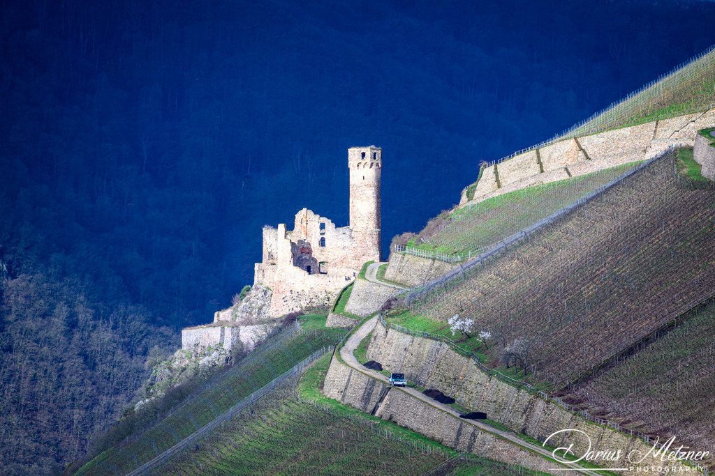 Der Rheingau und Umgebung | Der Rheingau und Umgebung