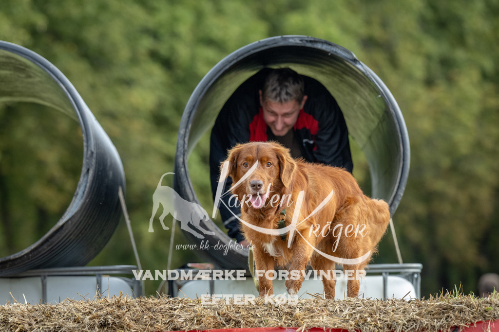 1037_ZZ92669 | kk-dogfotos