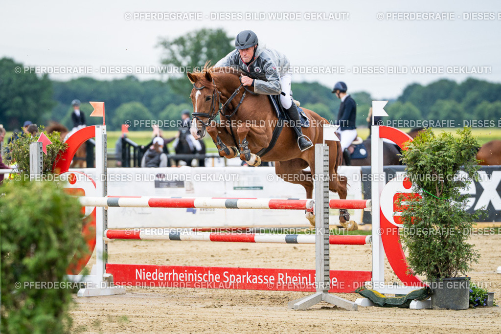 DSC05403 | Pferdegrafie