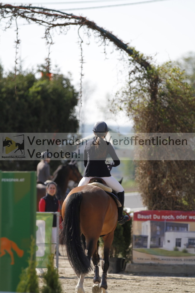 _MG_6648 | equestrian-live-com
