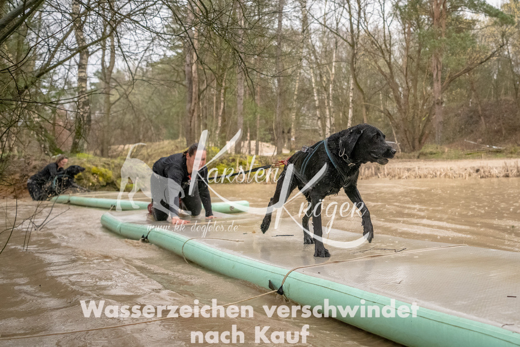 1057_ZZ93871-Bearbeitet | kk-dogfotos