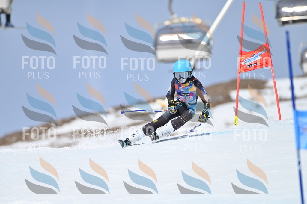 BGV_3573 | holidayphoto