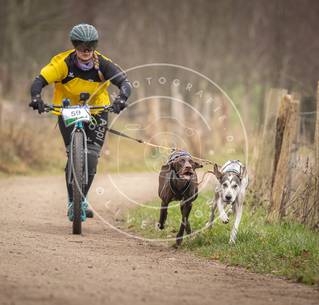 Pfotenfotografie_DV3A3179 | Hundefotografie, Tierfotograf, Pfotenfotografie, Fotoshooting Hund, Hunde Portrait, Hundesport, Hundeportraits, Heideshooting, Hunde, Sportfotograf, Hundefotograf, Turnierhundsport, THS,  - Realisiert mit Pictrs.com