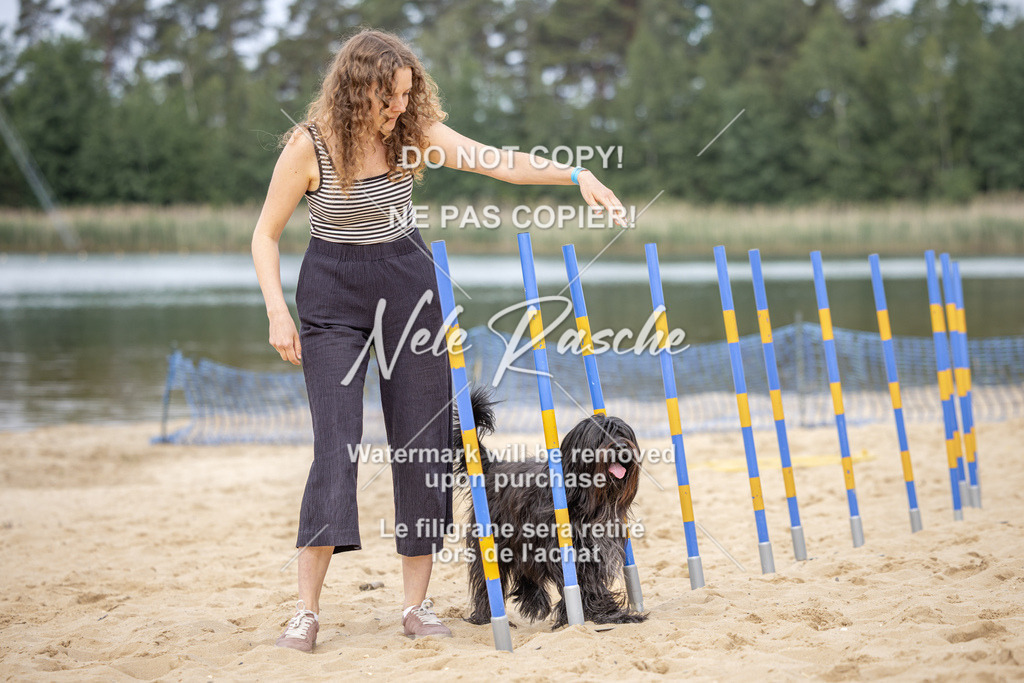 nelerasche_BuHu2026_So09-10_186 | nelerasche