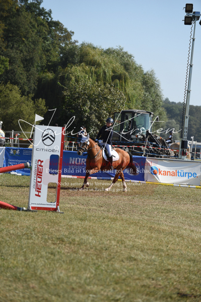 DSC_6020 | Pferde- und Turnierfotografie in Westsachsen. Pferdeportraits, Auftragszeichnungen und intuitive Kunst.