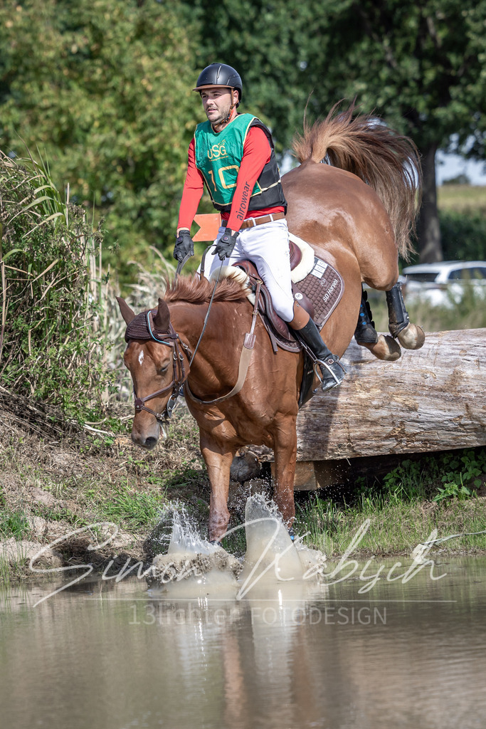 20250907-_3LI1289 | Tierfotografie Pferde, Hunde, Katzen, Haustiere.
Turnierfotografie Reitturniere, Reiten, Springreiten, Dressur in Hanau, dem Main-Kinzig-Kreis und dem Rhein-Main- Gebiet um Frankfurt